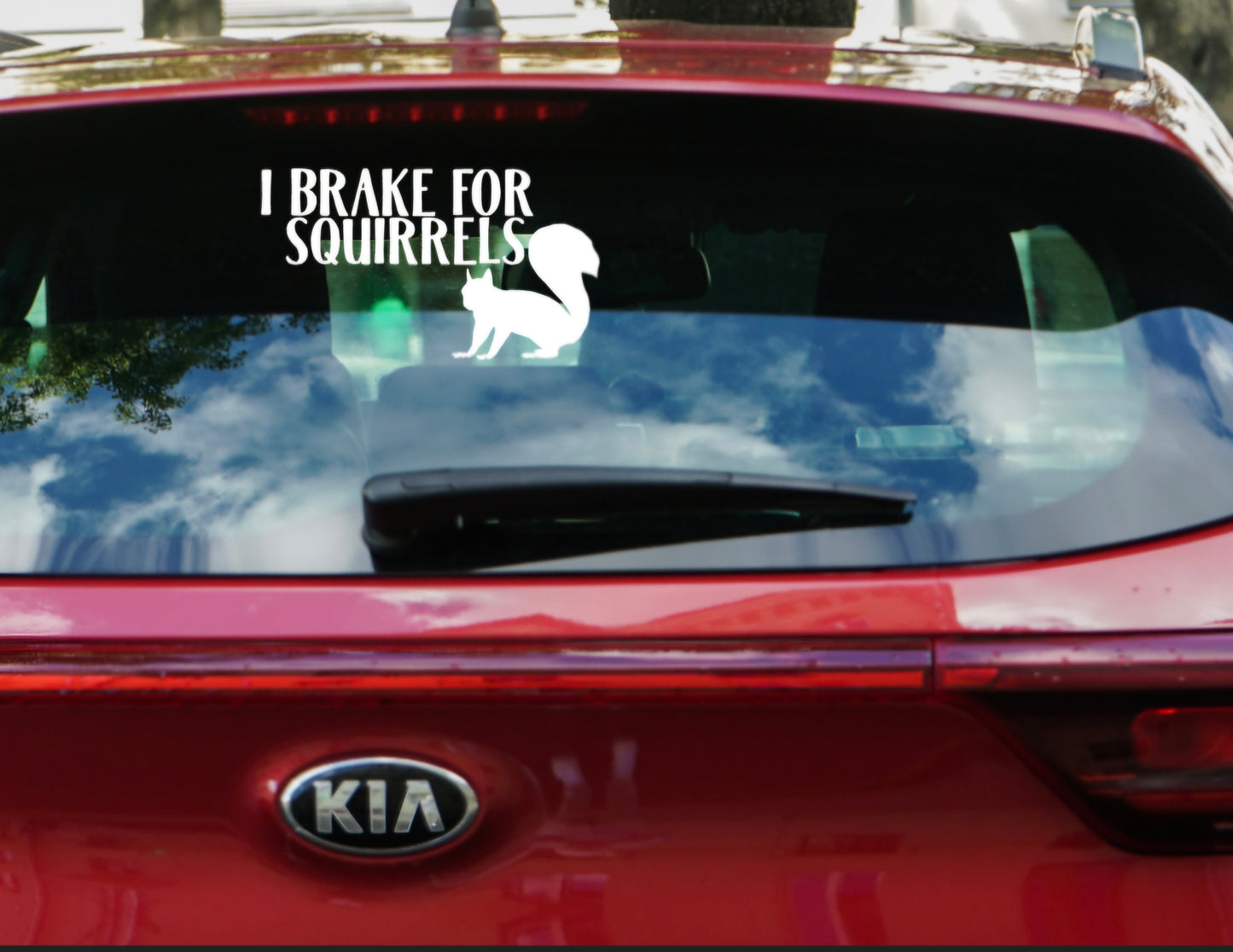 I brake for Squirrels Car Decal